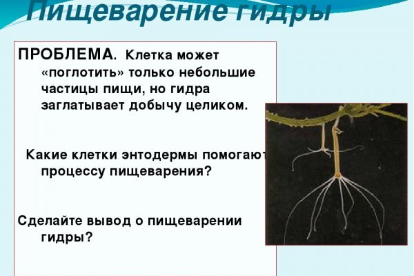 Kraken маркетплейс официальный