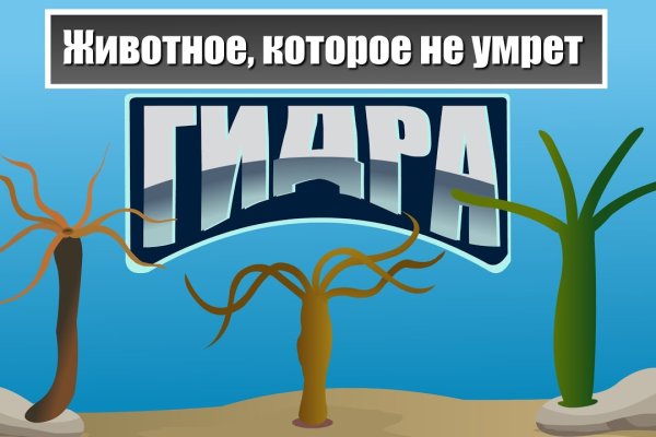 Клир ссылка на кракен 2025