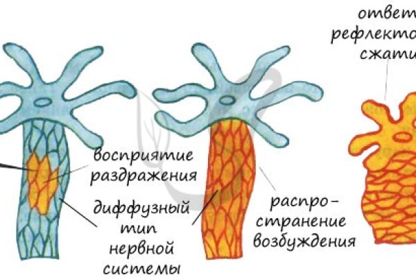Кракен даркнет рабочая